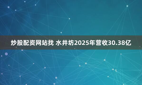 炒股配资网站找 水井坊2025年营收30.38亿